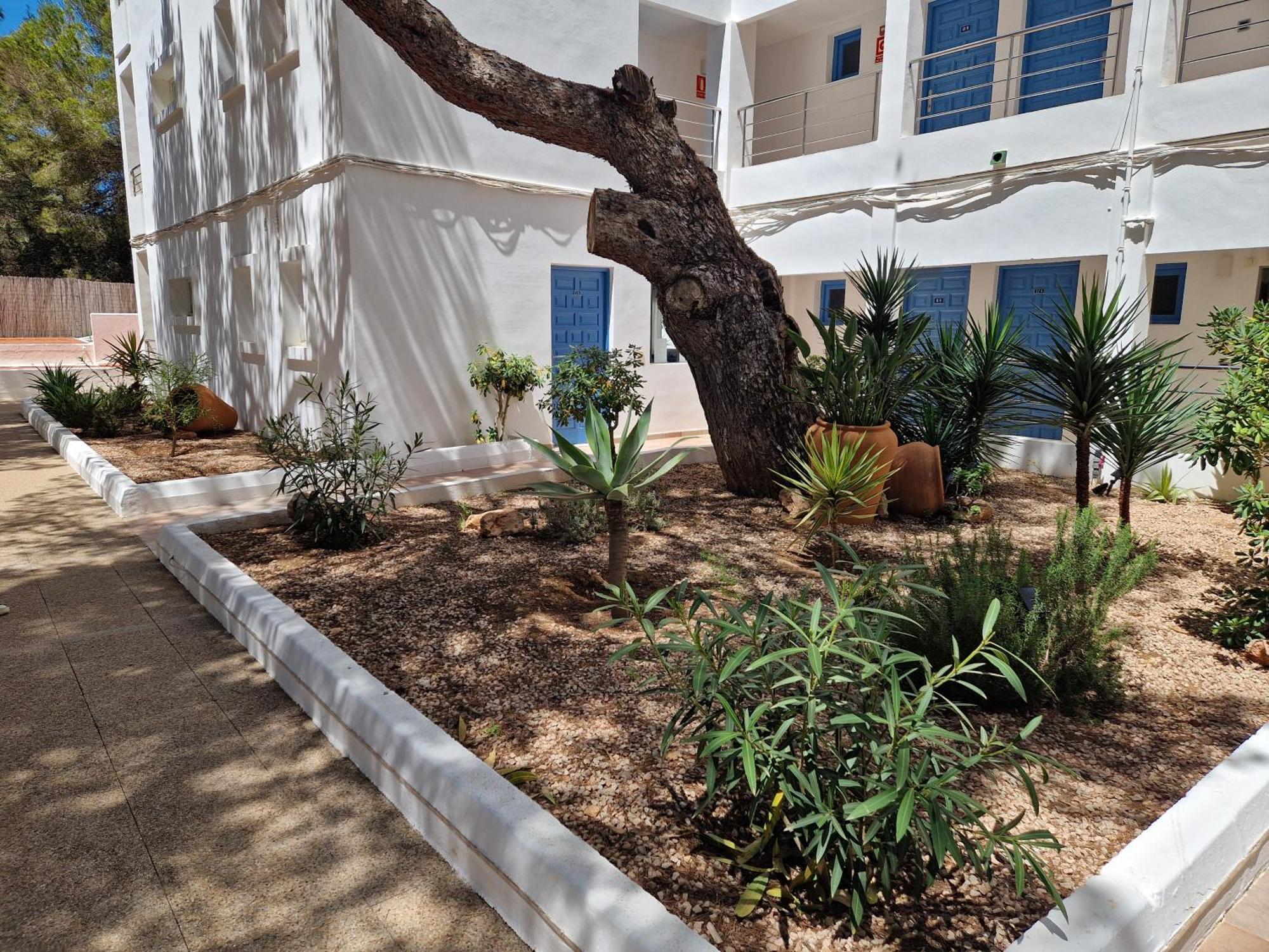 Apartamentos Costamar II Es Pujols Dış mekan fotoğraf